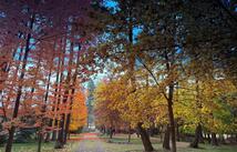 33608 Hilltop Terrace, Bigfork