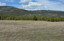 115 Marion Meadows Trail, Marion