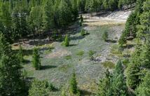 Nhn Jackson Meadows Road, Kila