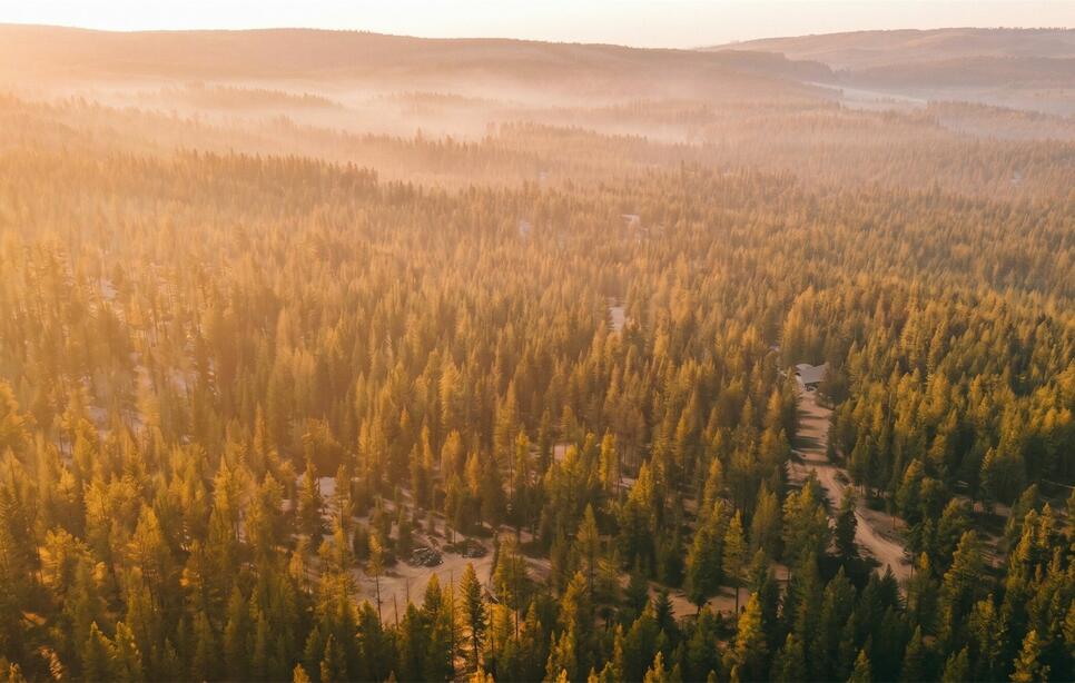 1350 Quaking Aspen Court, Rexford