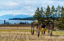 Tract 2 Hwy 35, Polson
