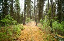 1875 Lower Lost Prairie Road, Marion