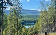 1810 Lupfer Loop Road, Olney