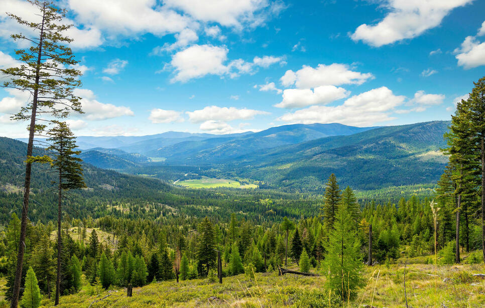 Idaho Hill Road, Marion