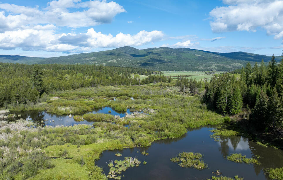 3180 Browns Meadow Road, Kila