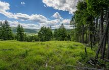 2342 Sirius View, Kalispell