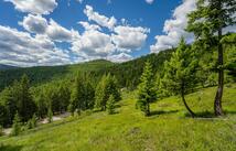 2342 Sirius View, Kalispell