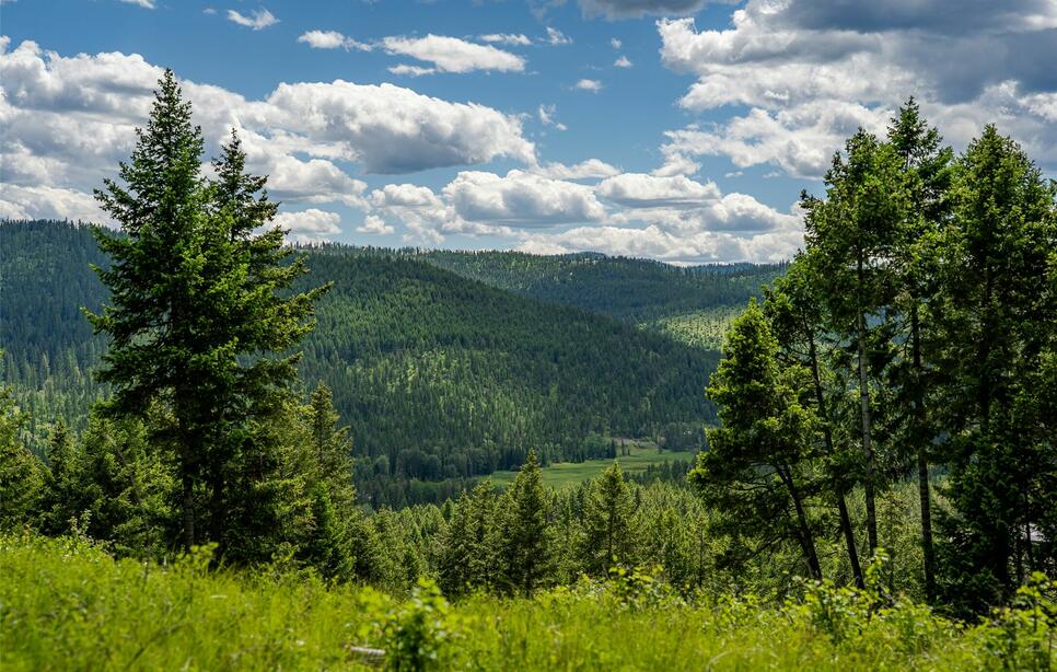 2342 Sirius View, Kalispell