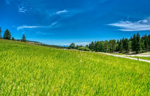 Raven Hill Road, Kalispell