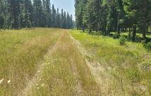 128 Whitefish Forest Loop, Whitefish