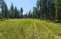 128 Whitefish Forest Loop, Whitefish
