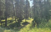 128 Whitefish Forest Loop, Whitefish