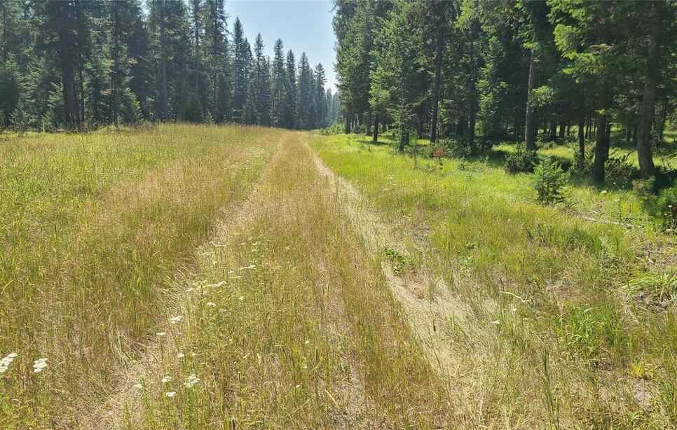 128 Whitefish Forest Loop, Whitefish