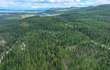 2290 Mountain Home Road, Whitefish
