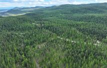 2290 Mountain Home Road, Whitefish