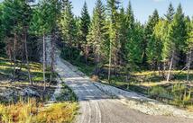 Lot 1 Forest Ridge Road, Fortine