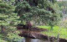 Nhn Griffin Creek Road, Marion