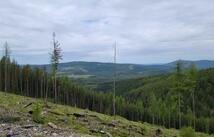 Nhn Griffin Creek Road, Marion
