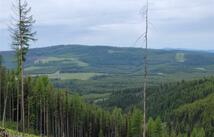 Nhn Griffin Creek Road, Marion
