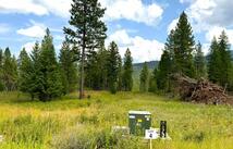 95 Blaney Lane 12 Gross Acres, Kila