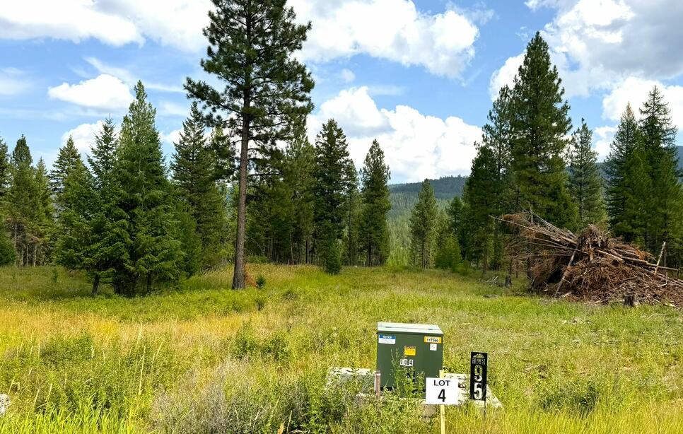 95 Blaney Lane 12 Gross Acres, Kila