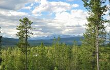 Nhn Highland Drive, West Glacier