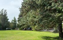 Nhn 2nd Avenue W, Columbia Falls