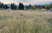Nhn Lavista Lane, Polson