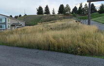 Nhn Lavista Lane, Polson
