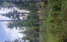 Nhn Lake Blaine, Kalispell