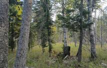 Nhn Lake Blaine, Kalispell