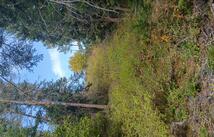 Nhn Lake Blaine, Kalispell