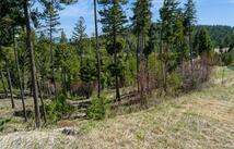 1027 Trappers Creek, Lakeside