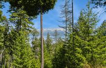 1027 Trappers Creek, Lakeside