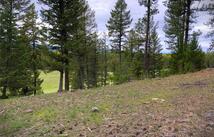Nhn Therriault Creek Road, Eureka