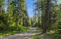 19132 High Road Lane, Bigfork