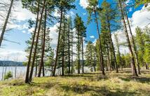 Tract B-2 Camp Tuffit Road, Proctor