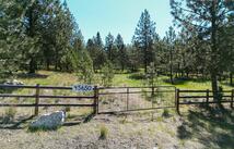 45650 Lark Court, Big Arm