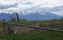 Nhn Stasso Road, Ronan