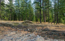 Lot 10 Lake Heights North Star Landing, Eureka