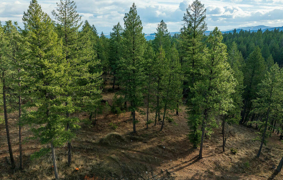 Lot 10 Lake Heights North Star Landing, Eureka