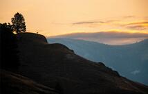 44625 Wild Horse Island Lane, Dayton