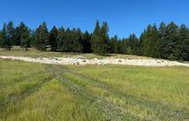 699 Morning View Drive, Kalispell