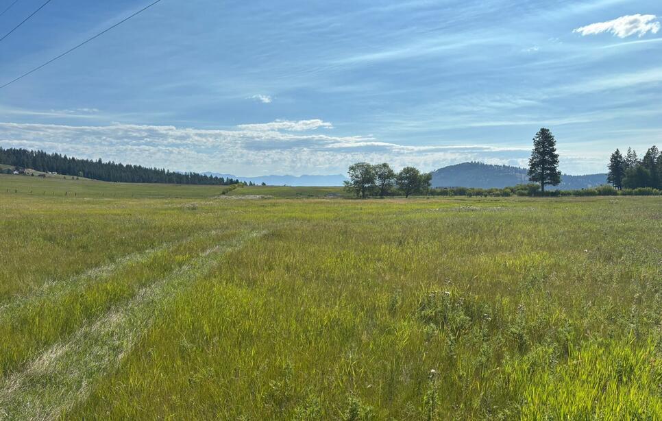 699 Morning View Drive, Kalispell