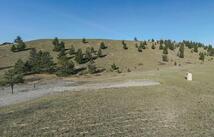 80 Esker Lane, Eureka