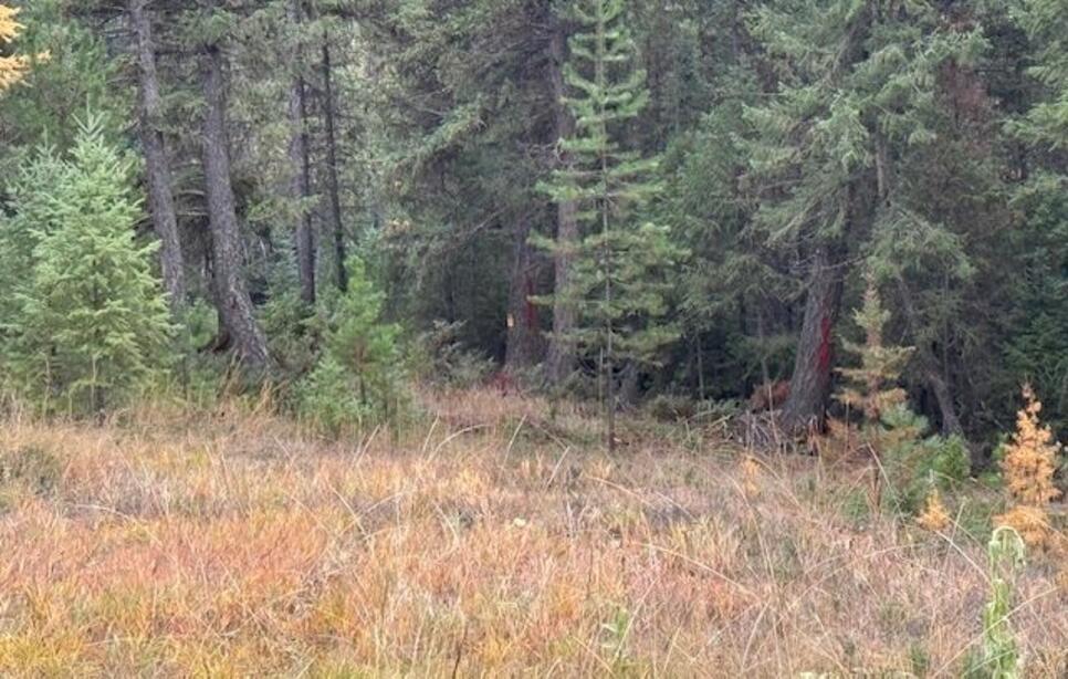 Nhn Glen Lake Road, Eureka