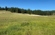 691 Morning View Drive, Kalispell