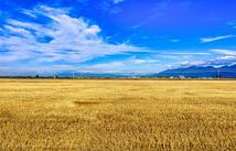 1164 Mt Highway 82 (tract 9, 20 Acres), Somers