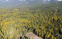 155 Spotted Fawn Lane, Kalispell