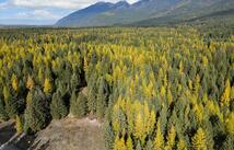 155 Spotted Fawn Lane, Kalispell